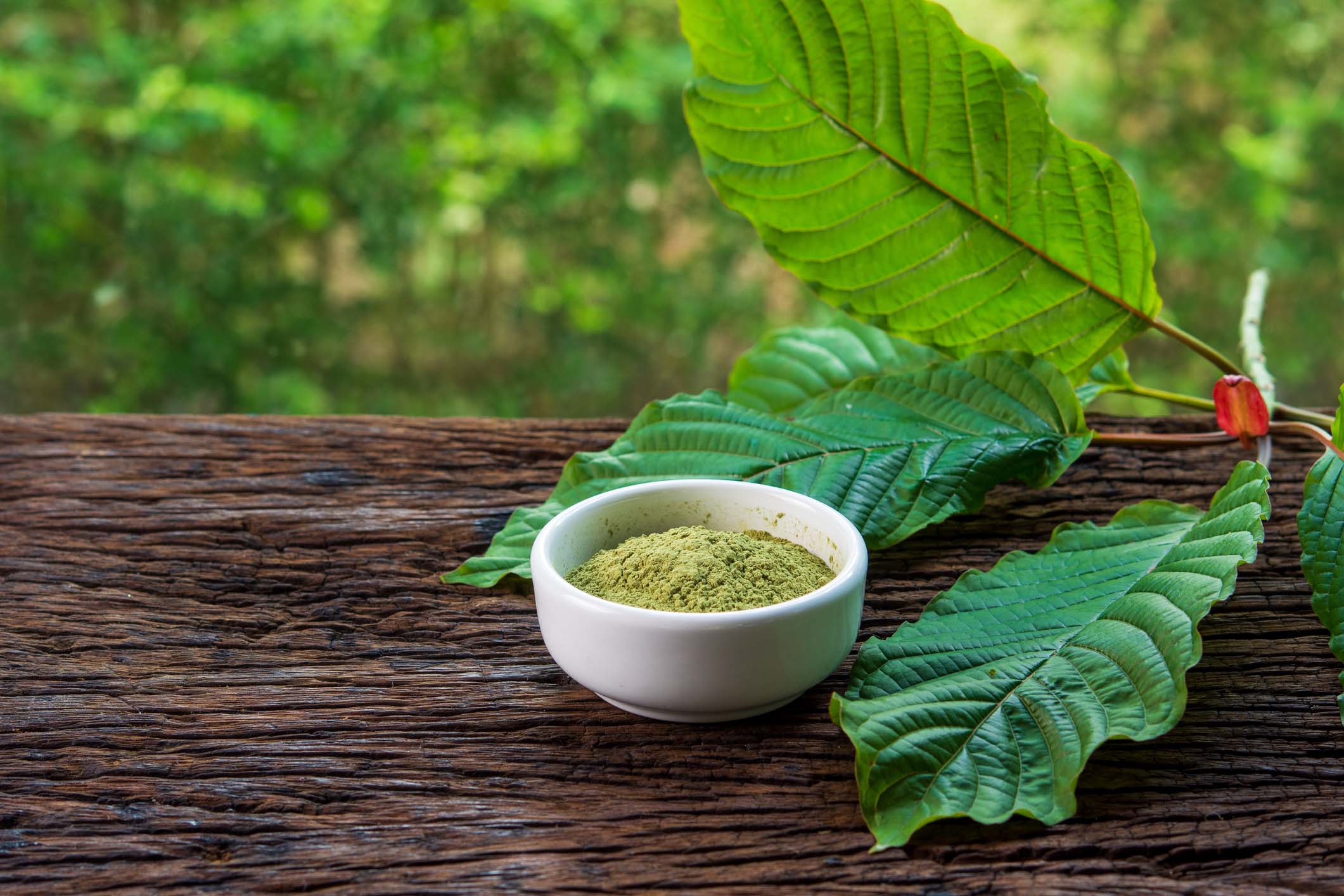 objevte bezpečné způsoby kombinování kratomu s bylinami pro zvýšení účinků a minimalizaci rizik. naučte se, jak moudře využívat tuto přírodní kombinaci.