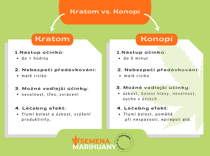 objevte správné dávkování kratomu pro začátečníky. naučte se, jak bezpečně a efektivně užívat kratom pro nejlepší výsledky.