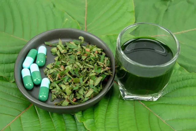 objevte, jak kratom může ovlivnit vaše hubnutí a podpořit zdravý životní styl. prozkoumejte spojitost mezi kratomem a úbytkem hmotnosti.