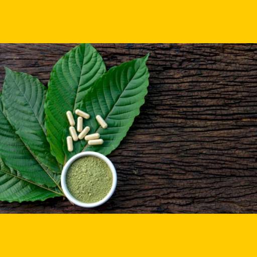 objevte, jak bezpečně používat kratom proti bolesti a užijte si jeho přirozené účinky pro úlevu od bolesti.