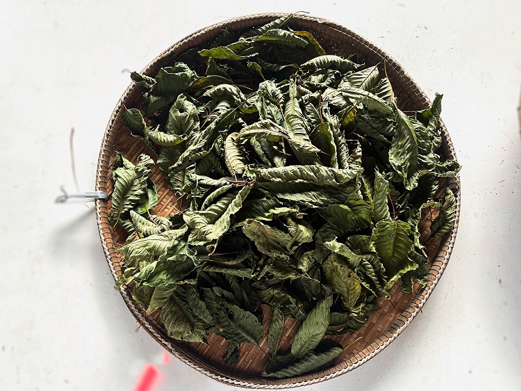 objevte kratom a jeho účinky na tělo a mysl. naučte se, jak může kratom podpořit vaši pohodu a vitalitu.