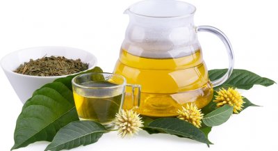 objevte mitragyna speciosa, rostlinu známou pro své unikátní účinky, a zjistěte, jak může ovlivnit vaše zdraví a pohodu.