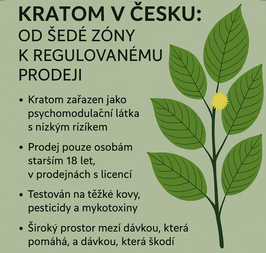 objevte hlavní rozdíly mezi různými druhy kratomu, jejich účinky, použití a bezpečnostní opatření.