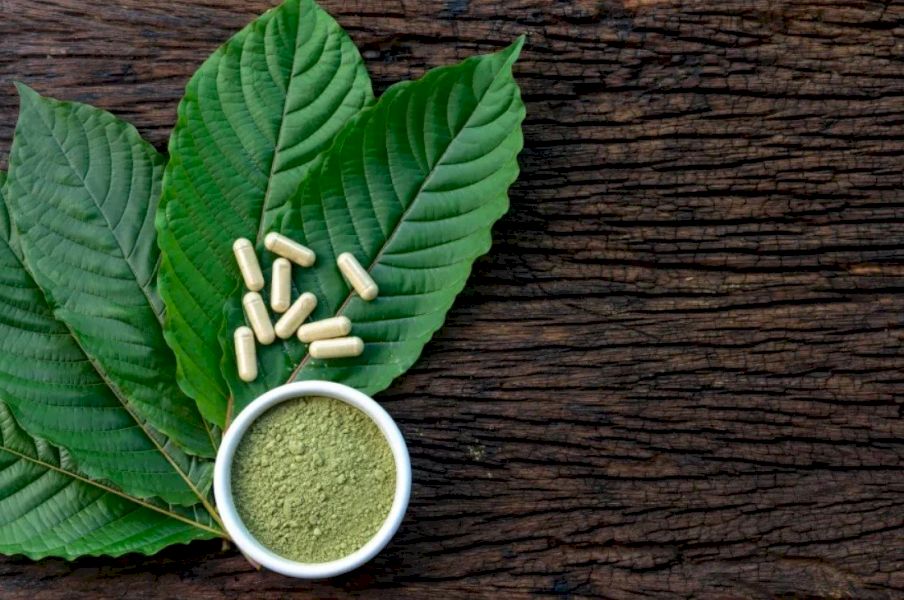 objevte, jak kratom ovlivňuje spánek a relaxaci, a zjistěte jeho účinky na zlepšení kvality odpočinku a uvolnění.