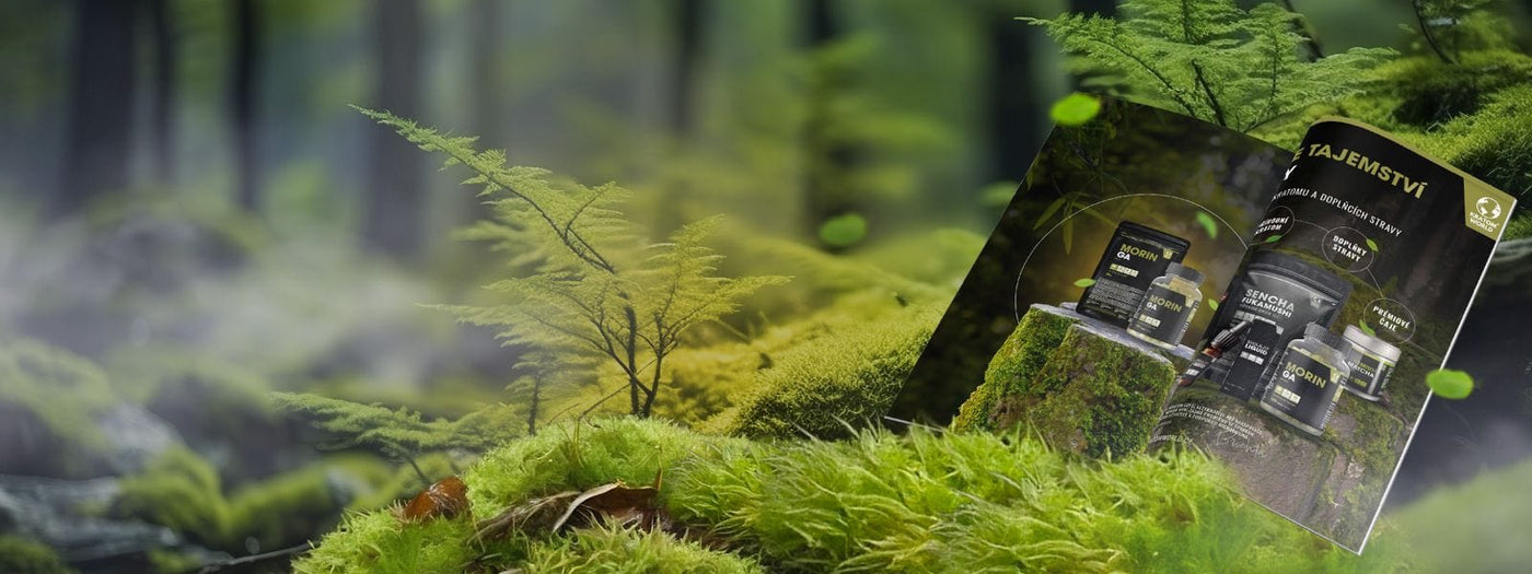 objevte klady a zápory kratomu prostřednictvím uživatelských zkušeností a zjistěte, jaké účinky a rizika s sebou toto přírodní doplněk nese.